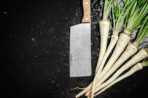 Fresh parsley root . photo