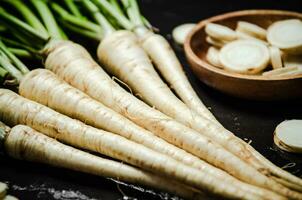 Fresh parsley root . photo