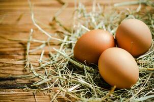 Chicken eggs on wooden table. photo