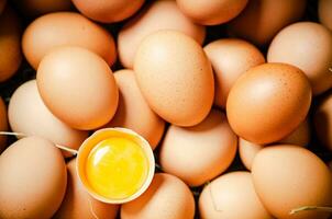Fresco pollo huevos . foto