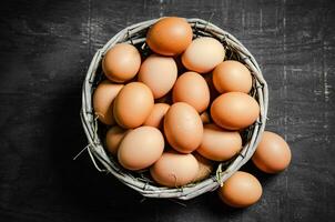 Fresco pollo huevos en cesta. foto