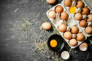 Fresh chicken eggs on dark background. photo