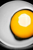 Chicken yolk from an egg in cup. photo