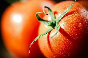 Fresh tomatoes macro. photo