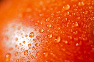 Fresh tomatoes macro. photo