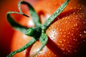 Fresh tomatoes macro. photo