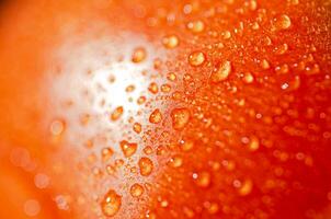 Fresh tomatoes macro. photo