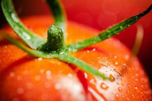Fresh tomatoes macro. photo