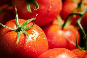 Fresh tomatoes macro. photo