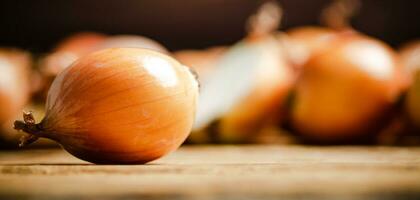 Fresh onions on table . photo