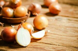 Fresh onions on table . photo