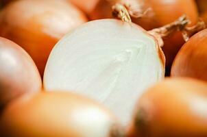 Fresh onions . macro photo