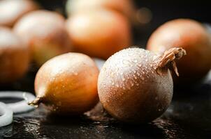 Fresh onions . On table photo