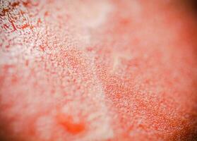 Fresh watermelon. Macro shot photo