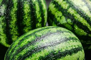 Fresh watermelon. Macro shot photo