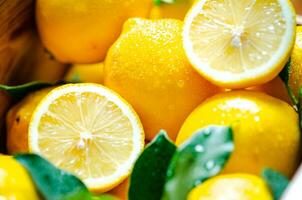 Fresh lemons. Macro shot photo