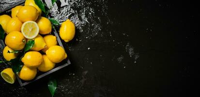 Fresh lemons. On black table. photo