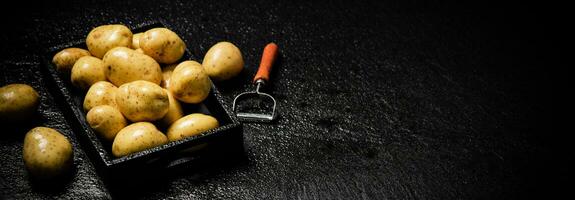 Fresh potatoes. On black background. photo