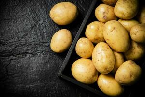 Fresh potatoes. On black background. photo