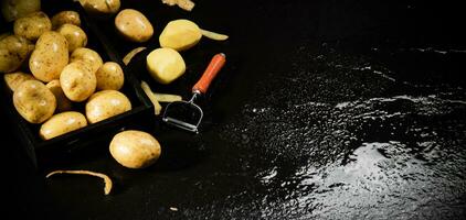 Fresh potatoes. On black background. photo