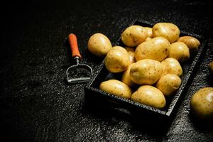 Fresh potatoes. On black background. photo