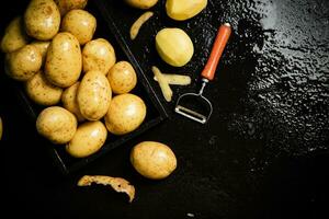 Fresh potatoes. On black background. photo