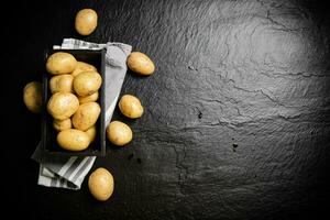 Fresh potatoes. On black background. photo