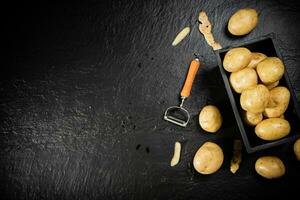 Fresh potatoes. On black background. photo