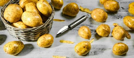 Fresh potatoes. On white table. photo