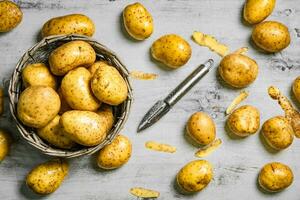 Fresh potatoes. On white table. photo