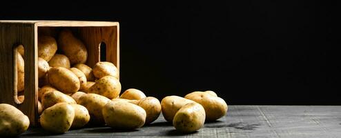 Fresh potatoes. On black background. photo