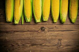 Fresh corn on wooden table. photo