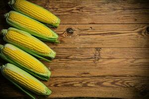 Fresh corn on wooden table. photo