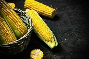maíz fresco en la canasta. foto