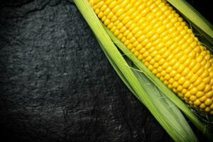 Fresh corn on black table. photo