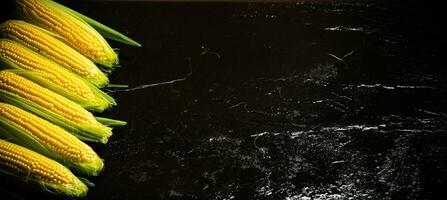 Fresh corn on black table. photo