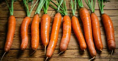 Fresh carrots on wooden table. photo