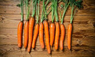 Fresh carrots on wooden table. photo