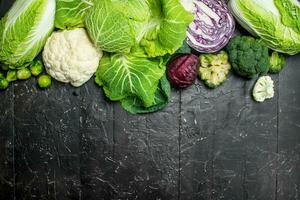 Assorted ripe cabbage. photo