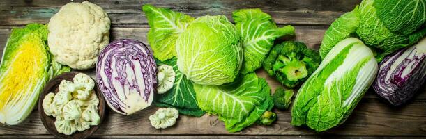 Lot of fresh juicy cabbage. photo
