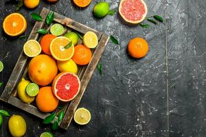 Ripe citrus fruits with leaves in a tray. photo