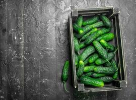 Ripe cucumbers in the box. photo