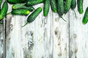 Ripe fresh cucumbers. photo