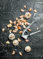 Garlic and garlic press. photo