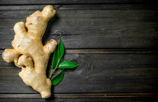 Fragrant fresh ginger. photo