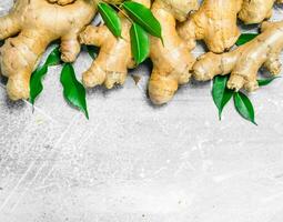 Fresh ginger with leaves. photo