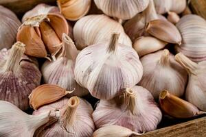 Heads of fresh garlic. Macro background. photo