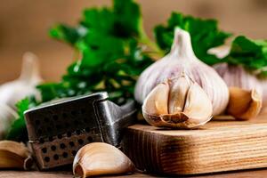 Garlic with parsley on a wooden cutting board. photo