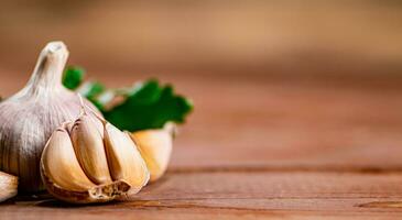 Cloves of fresh garlic with parsley. photo