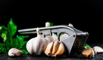 Garlic with parsley and garlic press. photo